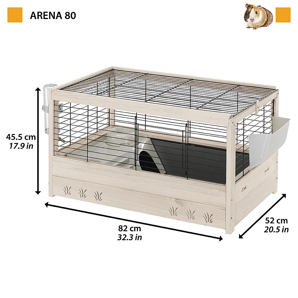 ARENA 80