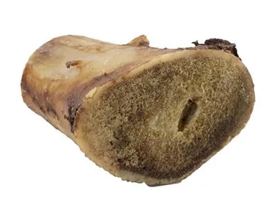 Bison Marrow Bone