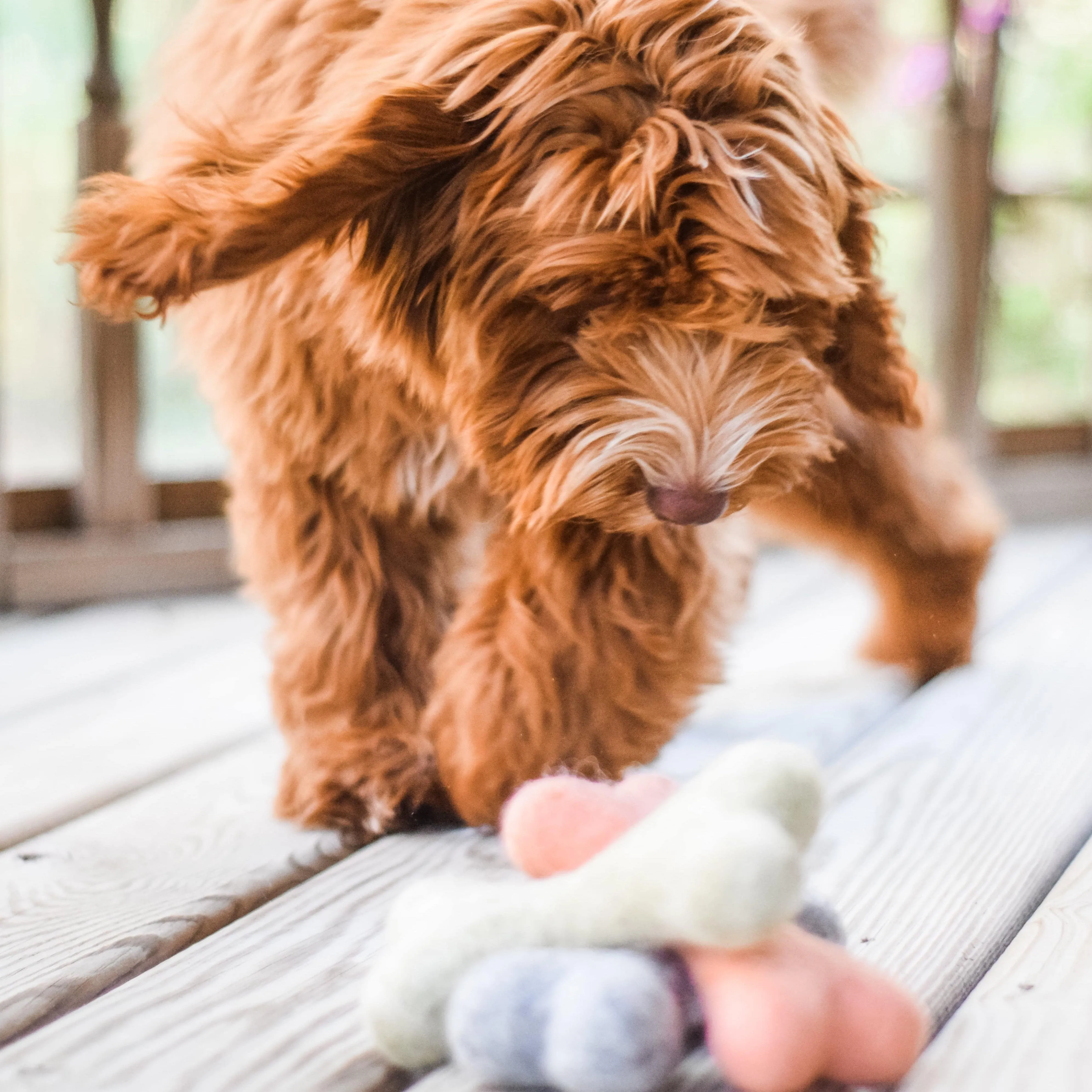 Bone Felt Toy