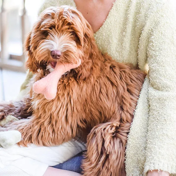 Bone Felt Toy