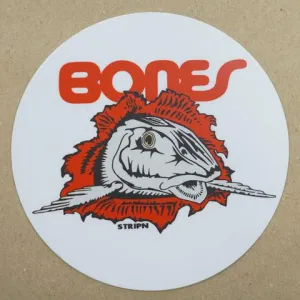 Bones Sticker