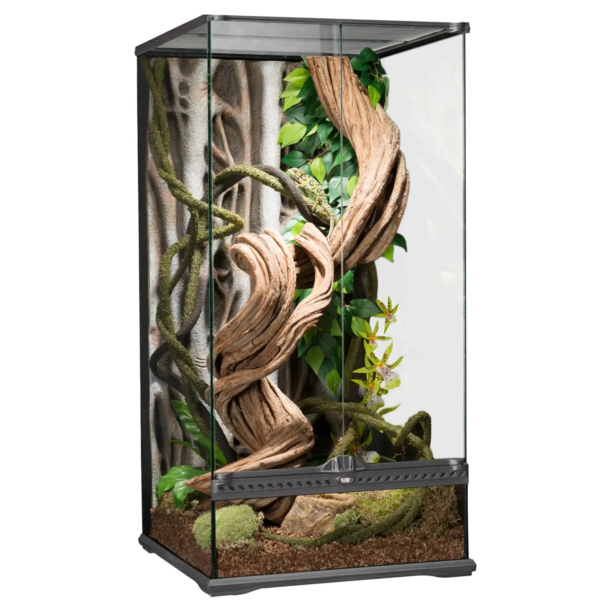 Exo Terra Glass Terrarium Small X-Tall -  45x45x90cm