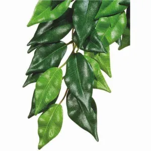 Exo Terra Hanging Forest Plants Ficus (silk)