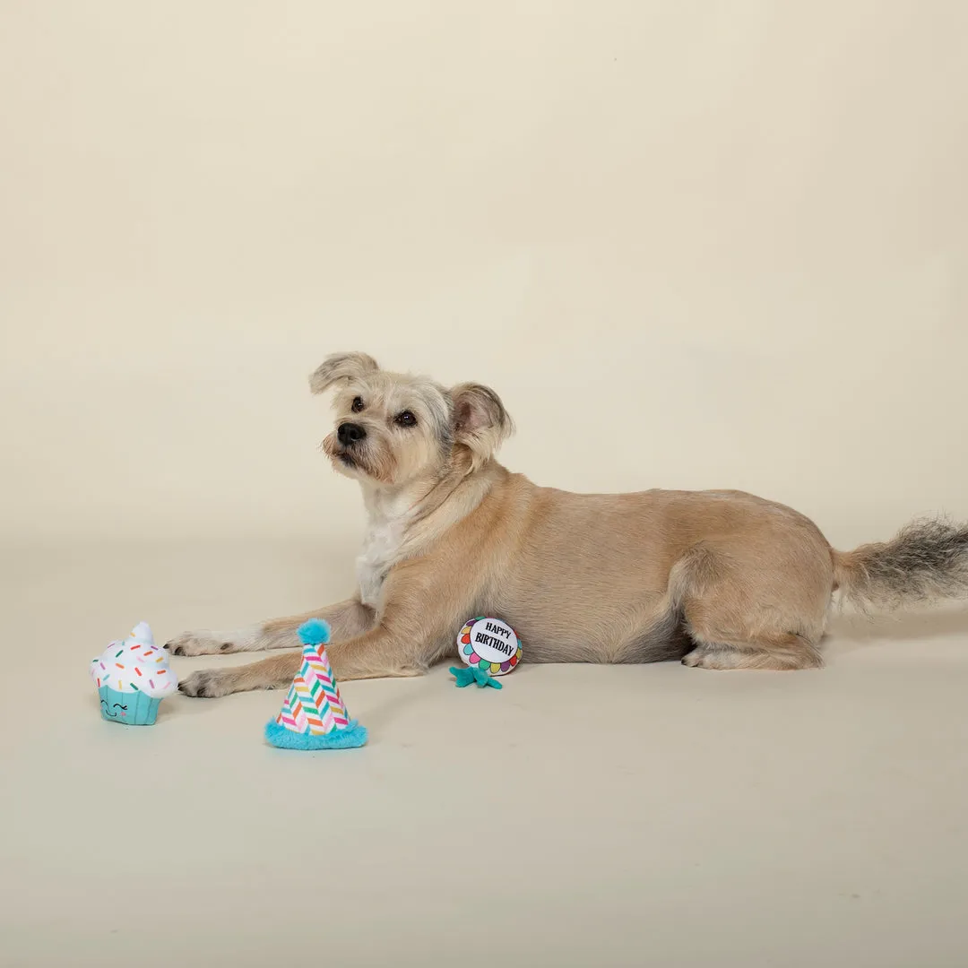 Happy Bark Day 3 Piece Small Dog Toy Set from Petshop by Fringe Studio