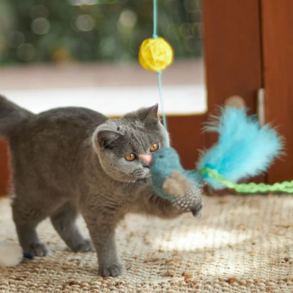 Kazoo Bluebird Wand Cat Toy