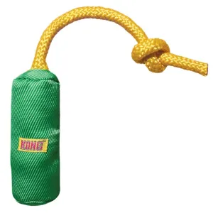 KONG Funsters Cylinder Dog Toy