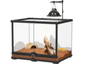 TERRARIUM SL KIT POGONA JUVENIL 60x45x45 -BLACK UK