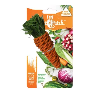 Veggie Patch Carrot Small Animal Chew Toy Small