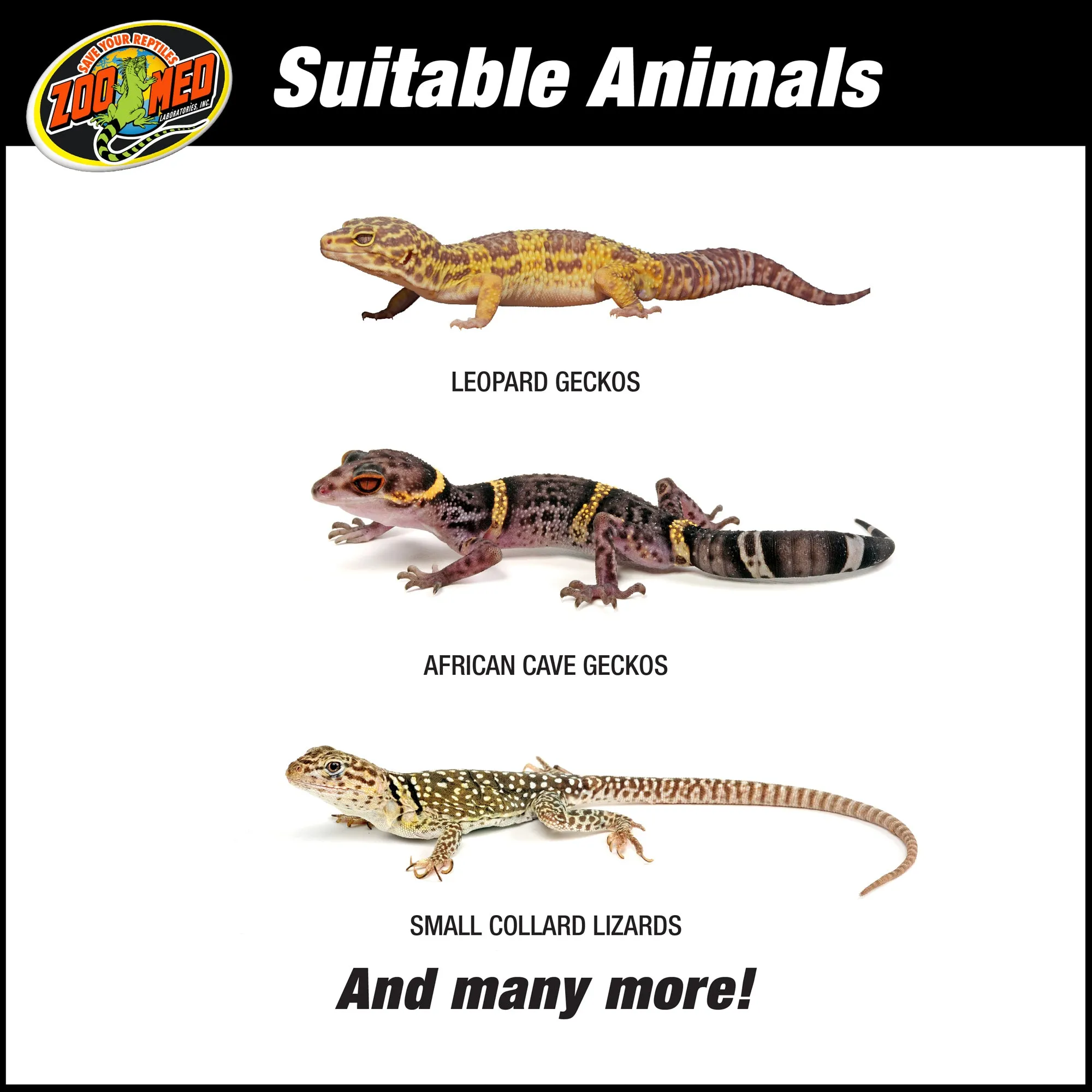 Zoo Med ReptiHabitat Terrarium Kit - Leopard Gecko 10 Gallons